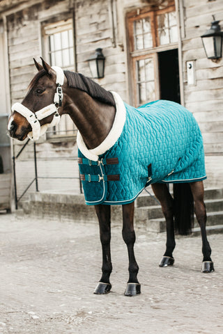 Show Rug Velvet 160g Emerald