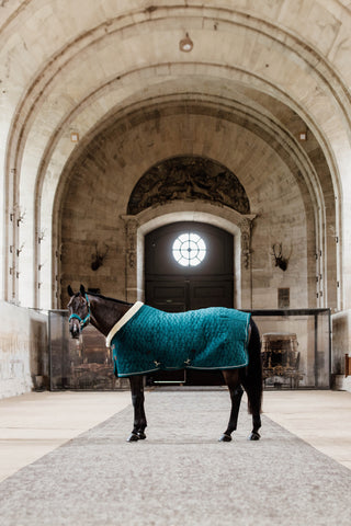 Show Rug Velvet 160g Emerald