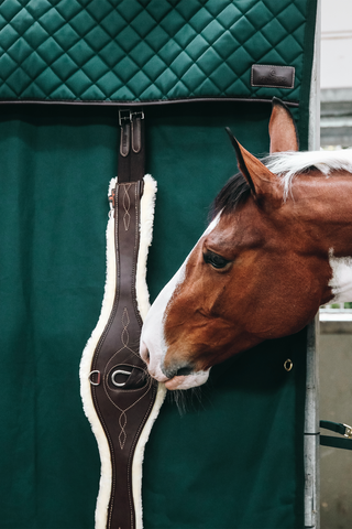 Vattentät Boxgardin Grön
