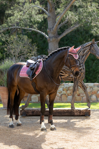 Loire Classic Hoppschabrak