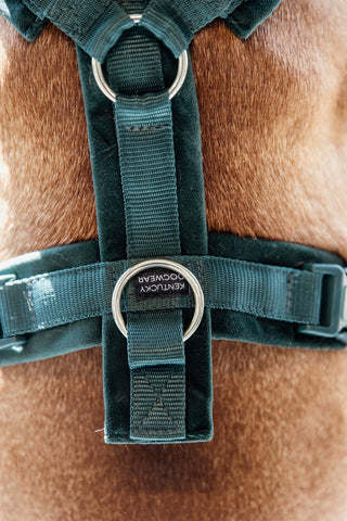 Active Velvet Hundsele