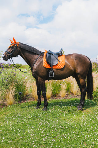 Schabrak Diamond Rope Orange