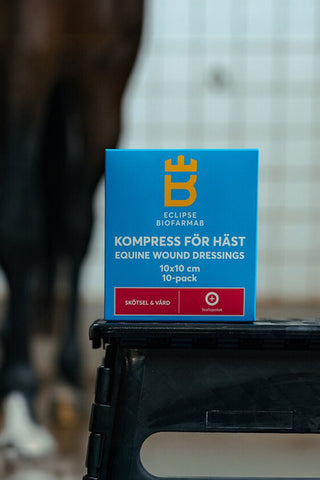 Kompress För Häst 10x10cm