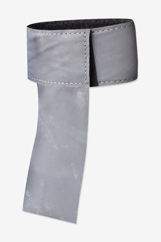 Svansreflex Silver