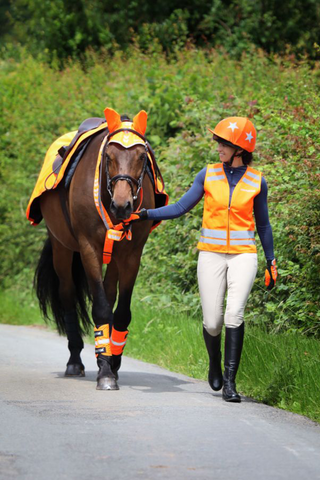 Equi-Flector Benreflexer Orange