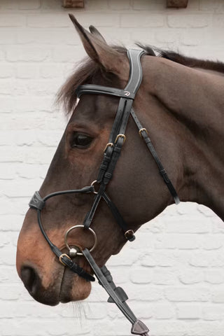 Träns Hybrid Dyon Collection Svart