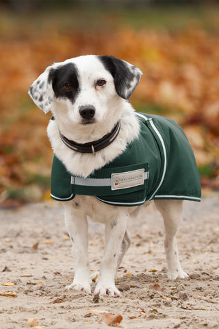 Hundtäcke Comfort 200g Fir Green