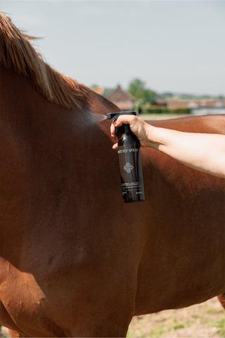 Flugspray Anti Fly 500ml