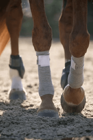 Incrediwear Equine Incrediwear Circulation Exercise Lindor