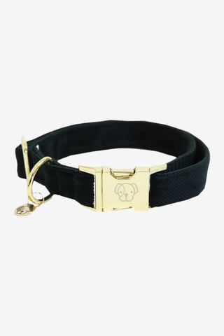 Kentucky Dogwear Hundhalsband Corduroy