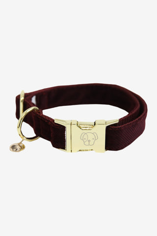 Kentucky Dogwear Hundhalsband Corduroy
