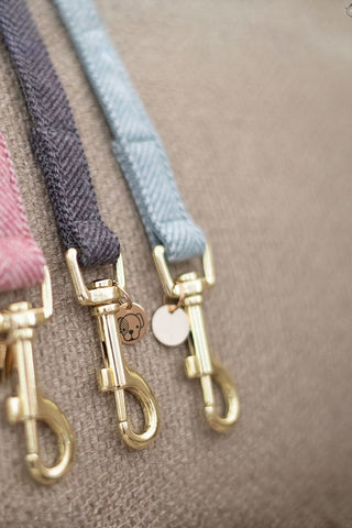 Kentucky Dogwear Hundkoppel Ull