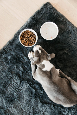 Bamboo Terazzo Hundskål