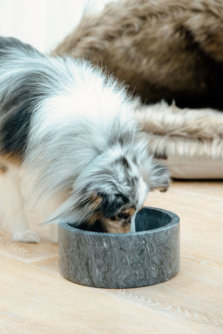 Marmor Hundskål