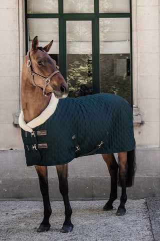 Show Rug 160g Dark Green