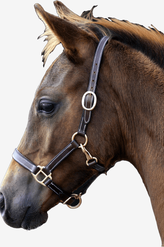 Lippo Fölgrimma Läder