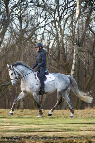Stierna Equestrian Storm Regnjacka