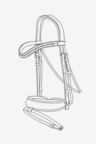 Dressage Collection