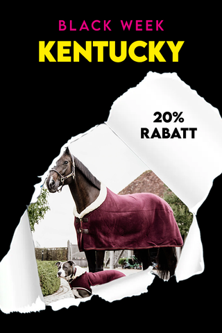 Cyber Monday - Kentucky