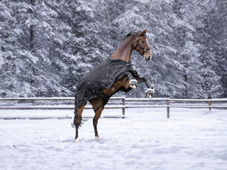 Waldhausen Täckeskampanj