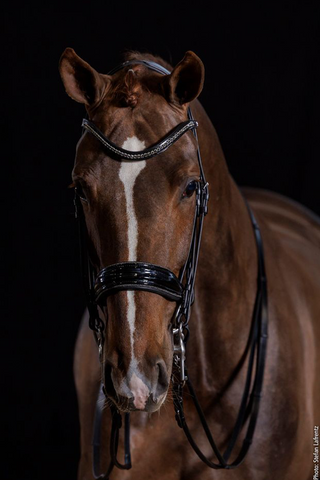 Milan Glam Kandarträns