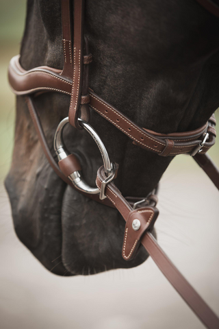 Eccelente Gummityglar med Stopp Buckle Loop Cognac