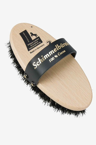 Schimmel Liten Ryktborste