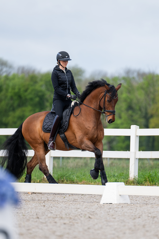 Ridbyxor New Lugana FFL
