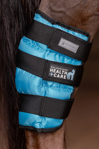 Health+Care Ice Gel Hasskydd