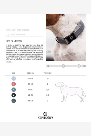 Reflex Hundhalsband