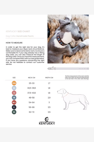 Pärlor Hundhalsband
