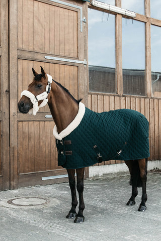 Show Rug 160g Dark Green