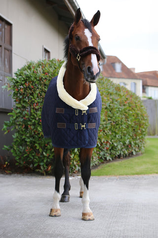 Show Rug 160g Navy