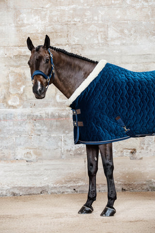 Show Rug Velvet 160g Navy