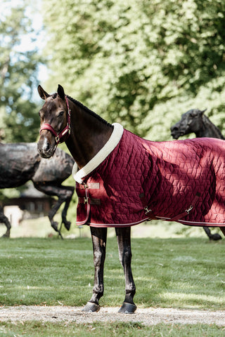 Show Rug Velvet 160g Bordeaux