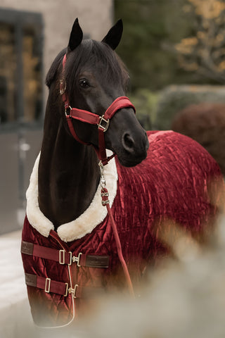 Show Rug Velvet 160g Bordeaux