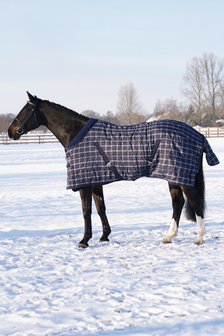 Luxury Stalltäcke 300gr Blue Check