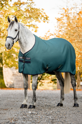 HW Rambo Techni Waffle Cooler DynGreen/Navy