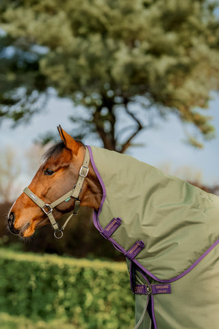 Amigo Hero Plus 200g Ripstop Grön/Lila