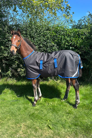 Amigo Ripstop 900D Föltäcke 50g Svart/Blå