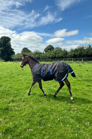Amigo Ripstop 900D 200g Föltäcke Svart/Blå