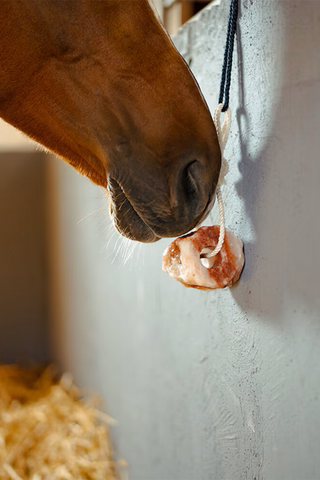 Saltsten Himalaya 1-2kg