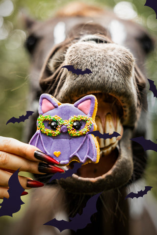 Horse Treats Cookies Halloween #1