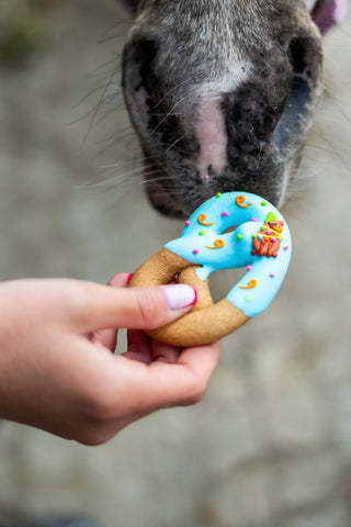Horse Treats Pretzels Party 6-pack