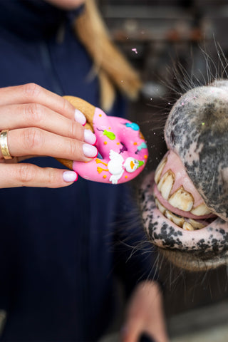Horse Treats Pretzels Party 6-pack