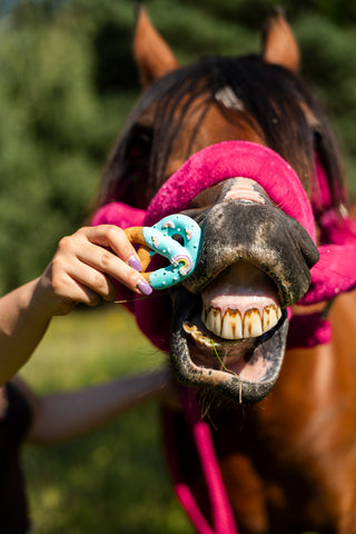 Hästgodis Pretzels Rainbow 6-pack