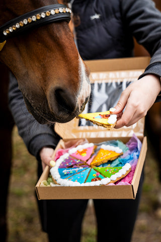Horse Treat Cake Party