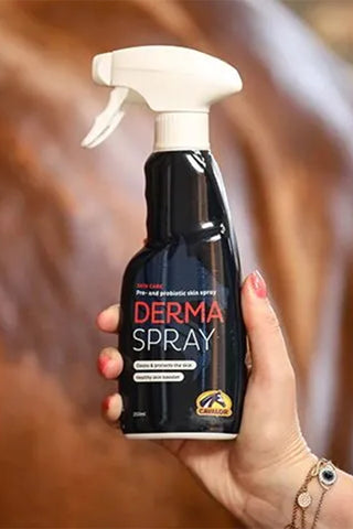 Derma Spray 250ml