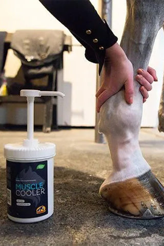 Muscle Cooler 1L