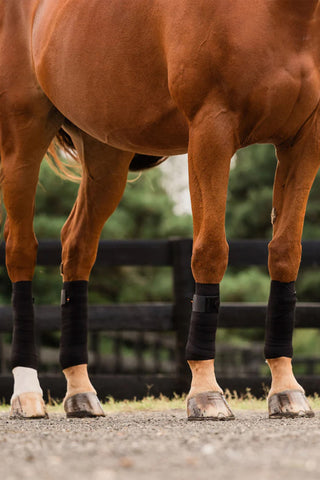 Zirkulation Bandagen Pony 9x185 cm Schwarz